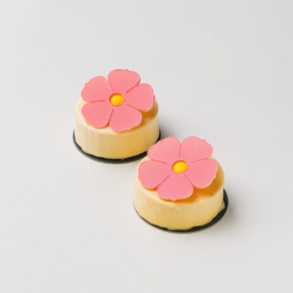 Mango cheesecake - Dan žena